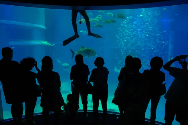 Sombra de turistas tomando fotos y disfrutando de criaturas marinas en el Acuario de Osaka Kaiyukan en Osaka, Japón — Foto de Stock