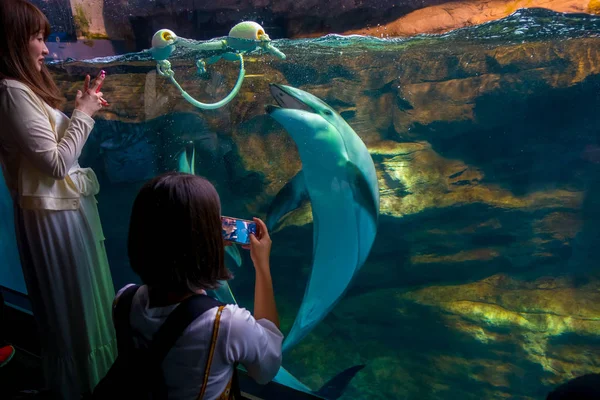 OSAKA, GIAPPONE - 18 LUGLIO 2017: Delfino nell'Acquario di Osaka Kaiyukan, uno dei più grandi acquari pubblici del mondo a Osaka, Giappone — Foto Stock