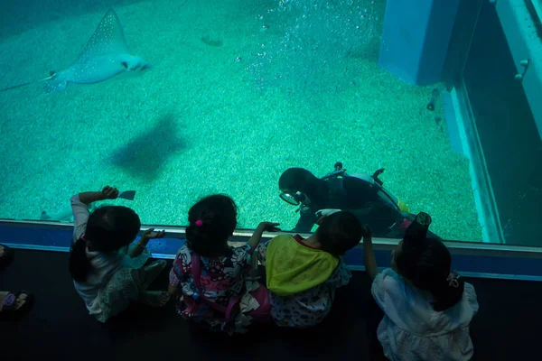 OSAKA, JAPÃO - 18 DE JULHO DE 2017: Crianças não identificadas desfrutando de criaturas marinhas e olhando para mergulhador no Aquário de Osaka Kaiyukan em Osaka, Japão — Fotografia de Stock