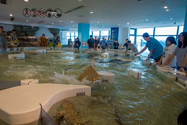 ОСАКА, Япония - 18 июля 2017 года: Неизвестные наслаждаются и трогают морских животных в современном районе аквариума Киюкан в Осаке, Япония — стоковое фото