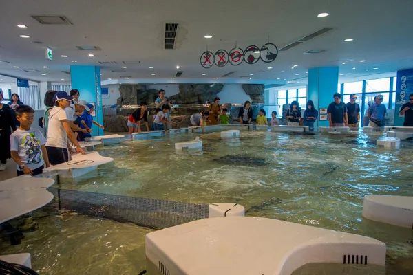 OSAKA, JAPÓN - 18 DE JULIO DE 2017: Personas no identificadas disfrutando y tocando los animales marinos en una zona moderna del acuario Kiyukan en Osaka, Japón — Foto de Stock