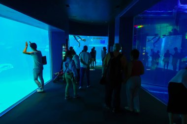 Osaka, Japonya - 18 Temmuz 2017: fotoğraf çekmek ve deniz yaratıkları, Japonya'nın Osaka Osaka akvaryum Kaiyukan zevk tanımlanamayan kişi