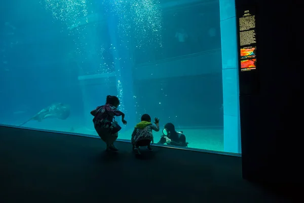 OSAKA, JAPÓN - 18 DE JULIO DE 2017: Personas no identificadas tomando fotos y disfrutando de criaturas marinas en el Acuario de Osaka Kaiyukan en Osaka, Japón — Foto de Stock