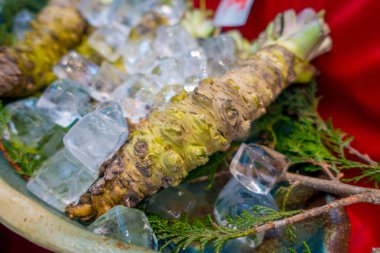 Osaka, Japonya - 18 Temmuz 2017: Taze wasabi kök Kuromon Ichiba Pazar, Nipponbashi, Osaka, Japonya, cadde boyunca satılmaktadır