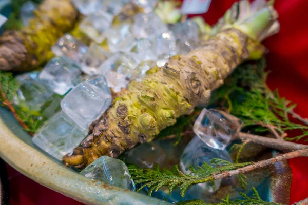 Osaka, Japan - 18 juli 2017: Färsk wasabi rot säljs längs gatan vid Kuromon Ichiba marknaden, Nipponbashi, Osaka, Japan — Stockfoto