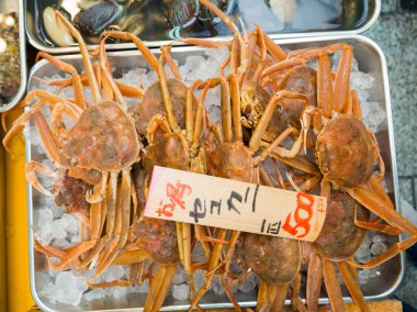 Osaka, Japonya - 18 Temmuz 2017: Yengeç Osaka, Japonya'da piyasaya Kuromon Ichiba pazarında buzla metalik bir tepsi içinde. Pazar yerleri Osaka'da popüler olduğunu