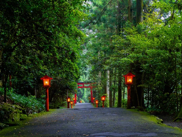 La vue de nuit de l'approche du sanctuaire Hakone dans une forêt de cèdres. Avec beaucoup de lanterne rouge éclairée et une grande porte torii rouge — Photo