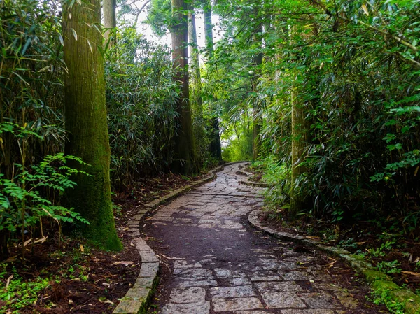 Belo caminho apedrejado dentro da floresta no parque Hakone, localizado em Hakone, Japão — Fotografia de Stock