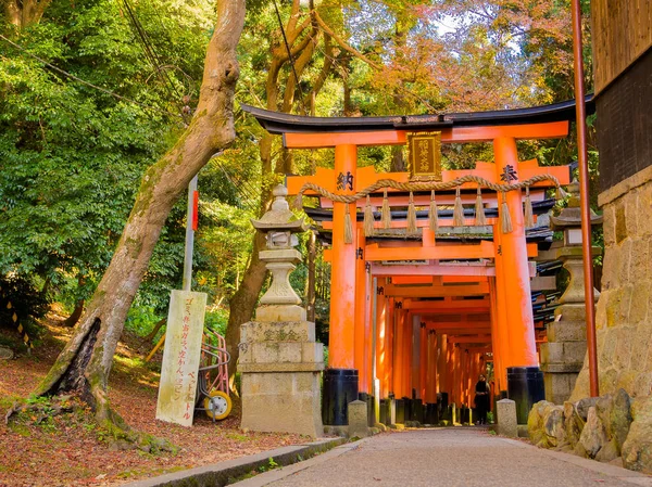 КЁТО, Япония - 05 июля 2017 года: Красные ворота Тори в храме Фусими Инари в Киото, Япония — стоковое фото