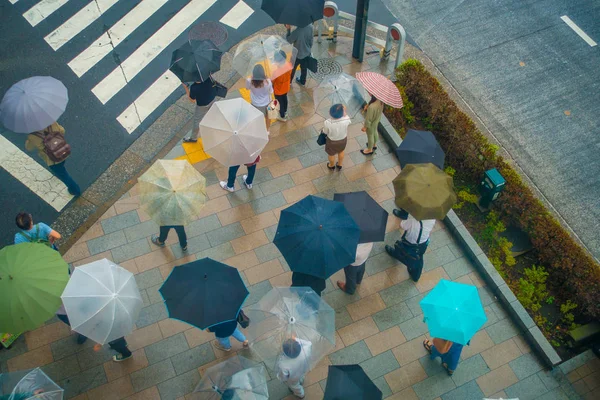 TOKIO, JAPÓN 28 DE JUNIO - 2017: Vista aérea de personas no identificadas bajo paraguas en la calle del cruce de cebra en el distrito de Jimbocho ubicado en Tokio — Foto de Stock