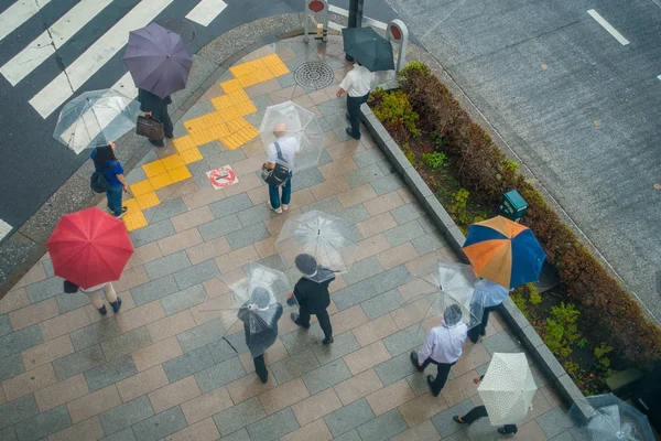 TOKIO, JAPÓN 28 DE JUNIO - 2017: Vista aérea de personas no identificadas bajo paraguas en la calle del cruce de cebra en el distrito de Jimbocho ubicado en Tokio — Foto de Stock