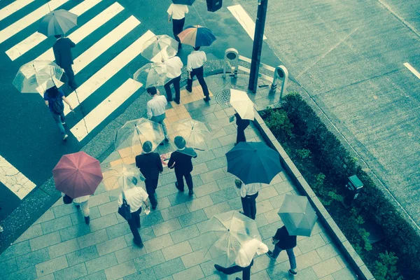 TOKYO, JAPÃO JUNHO 28 - 2017: Vista aérea de pessoas não identificadas sob guarda-chuvas em zebra cruzando rua no distrito de Jimbocho, localizado em Tóquio — Fotografia de Stock