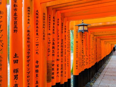 Kyoto, Japonya - 05 Temmuz 2017: Kırmızı Tori kapıda Fushimi Inari tapınak Kyoto, Japonya