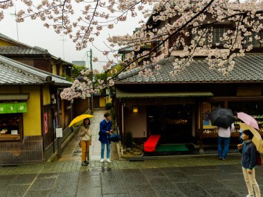Hakone, Japonya - 02 Temmuz 2017: kiraz çiçekleri ile Higashiyama bölgesinde bahar Kyoto'da kimliği belirsiz insanlar