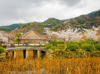 Hakone, Japonya - 02 Temmuz 2017: yürüyüş ve Sakura görkemli Kiyomizu-dera, ünlü bir Budist tapınağı Kyoto kiraz çiçekleri güzel manzarayı tanımlanamayan kişi