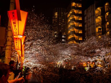 Hakone, Japonya - 02 Temmuz 2017: kiraz çiçekleri Kyoto bahar zamanla Higashiyama İlçesi'nde gece zevk tanımlanamayan kişi