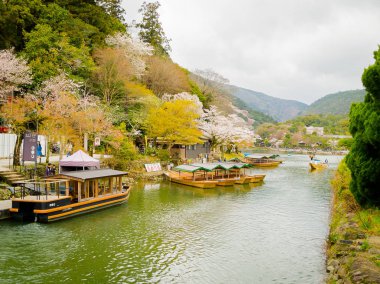 Hakone, Japonya - 02 Temmuz 2017: kürekli tekneler Chidorigafuchi Kent Parkı Tokyo kiraz çiçekleri ile ilgilenen Hanami Sakura Festivali sırasında güzel kiraz çiçeği ağaçların altında bir göl kenarında turist bir