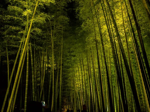 KYOTO, JAPÓN - 05 DE JULIO DE 2017: Personas no identificadas Hermosa vista en el bosque de bambú en Arashiyama, Kyoto, Japón —  Fotos de Stock