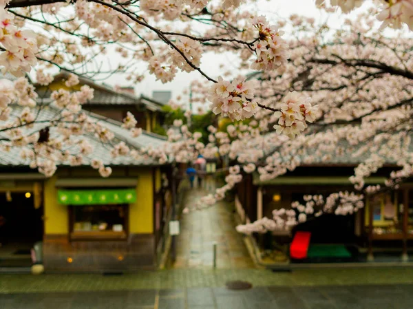 Hakone, japan - 02. Juli 2017: higashiyama distrikt mit kirschblüten im frühling in kyoto — Stockfoto