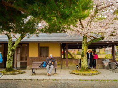 Hakone, Japonya - 02 Temmuz 2017: yürüyüş ve hanami parkta kiraz çiçeği sezonunda Kyoto'da zevk tanımlanamayan kişi