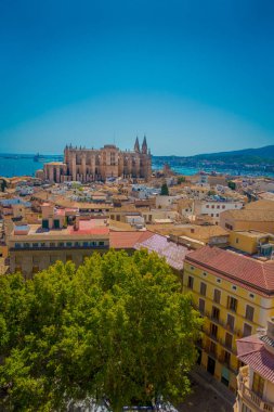 Palma De Mallorca, İspanya - 18 Ağustos 2017: Palma de Mallorca horizont Palma de güzel bir mavi güneşli gün ile Santa Maria Katedrali kentin çatıları güzel görünümünü