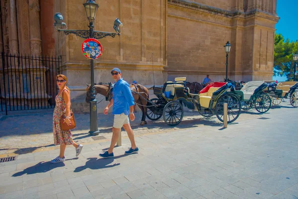 帕尔马-西班牙-2017 年 8 月 18 日： 身份不明的人走在附近的大教堂的圣塔玛丽亚的帕尔马拉 Seu 在华丽的蓝色的天空，在帕尔马，西班牙 — 图库照片