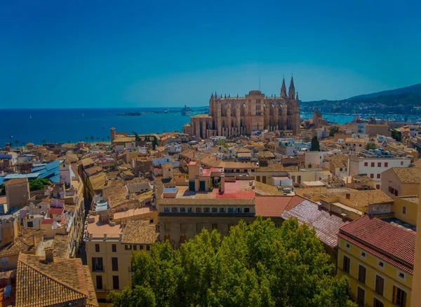 Palma De Mallorca, Spanien - augusti 18 2017: Fantastisk utsikt över hustaken i staden Palma de Mallorca med den katedralen Santa Maria i horizont i en vacker blå solig dag i Palma de — Stockfoto