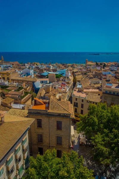 Palma De Mallorca, İspanya - 18 Ağustos 2017: Palma de Mallorca horizont Palma de güzel bir mavi güneşli gün ile Santa Maria Katedrali kentin çatıları güzel görünümünü — Stok fotoğraf