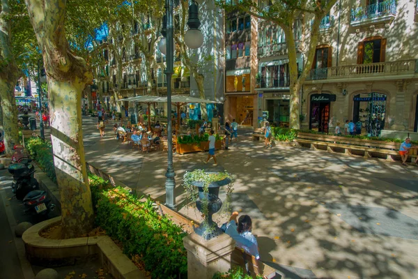 Palma De Mallorca, İspanya - 18 Ağustos 2017: Üstten görünüm kimliği belirsiz kişi Boulevard tarihi Palma de Mallorca, İspanya, Avrupa'nın, yürüyüş — Stok fotoğraf