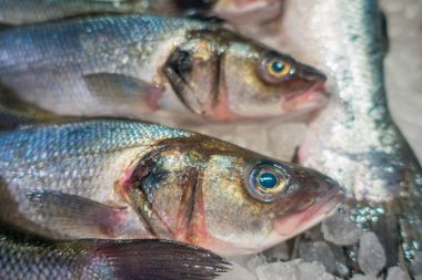 Buzda liman Port d Andratx Mallorca, İspanya yığını üzerinde taze balıklar