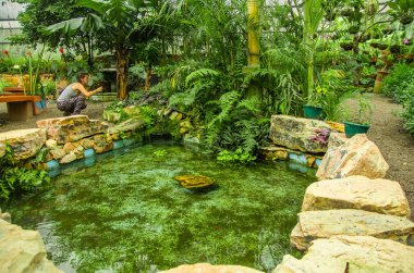 Min'in, Ekvator - 27 Ağustos 2017: Mindo eğlence yerinde Batı Ekvator, Mindo, Pichincha 1400 m kotunda bulunan güzel bir gölet, fotoğraf çekmek tanımlanamayan kişi