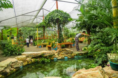 Min'in, Ekvator - 27 Ağustos 2017: fotoğraf çekmek ve bitkiler ile Batı Ekvator, Mindo rekreasyon yerde 1'de yer alan güzel bir su birikintisi bir sera içinde zevk tanımlanamayan kişi
