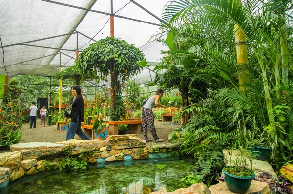 Min'in, Ekvator - 27 Ağustos 2017: fotoğraf çekmek ve bitkiler ile Batı Ekvator, Mindo rekreasyon yerde 1'de yer alan güzel bir su birikintisi bir sera içinde zevk tanımlanamayan kişi
