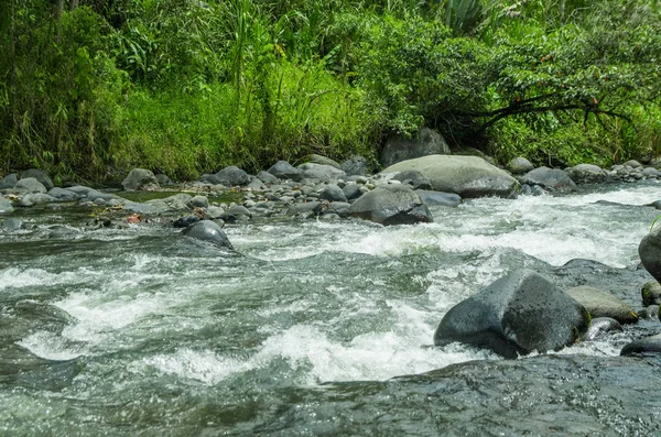 cloudforest 1400 m kotunda aracılığıyla çalışan rio mindo, Batı Ekvator, nehir.