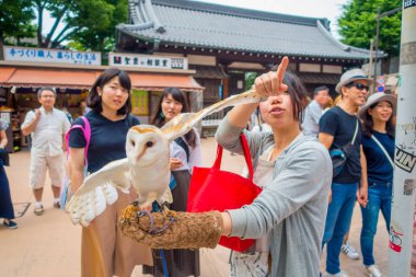 Tokyo, Japonya Haziran 28-2017: güzel baykuş poz bitti kadın bilek Akihabara baykuş Cafe - sokakta baykuşlar Japonya'da çok popüler evcil hayvan