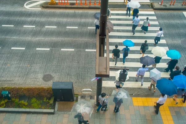 TOKYO, JAPÃO JUNHO 28 - 2017: Vista aérea de pessoas não identificadas sob guarda-chuvas em zebra cruzando rua no distrito de Jimbocho, localizado em Tóquio — Fotografia de Stock