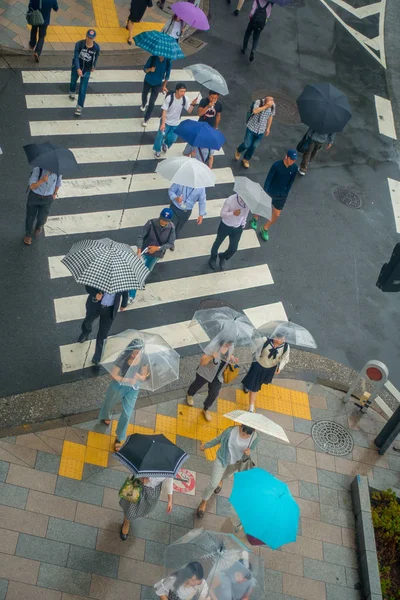 东京，日本 6 月 28-2017年： 位于东京的身份不明的人在遮阳伞下神保町区斑马线街头上的鸟瞰图 — 图库照片