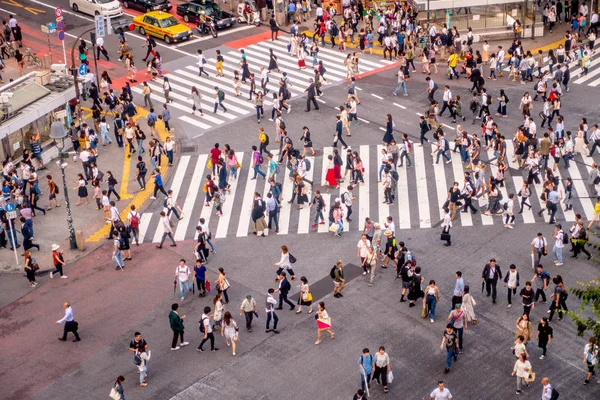 Tokyo, Japonya Haziran 28-2017: Top Shibuya sokak, Tokyo Ginza bölgesinde dünyanın en yoğun crosswalks geçiş Kişilik kalabalık görünümünü