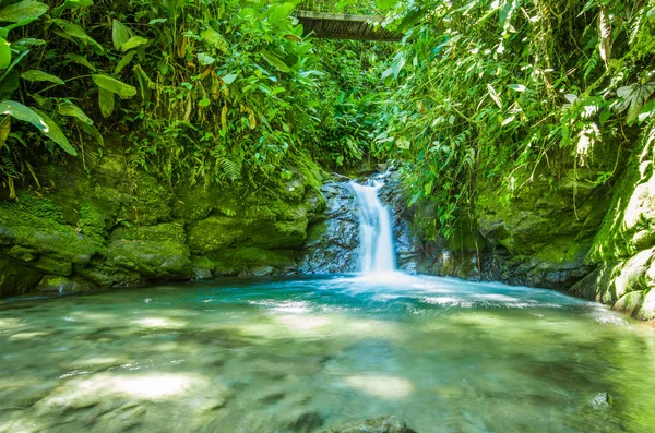 Prachtige kleine waterval, gelegen binnen een groen bos met stenen in de rivier bij Mindo — Stockfoto