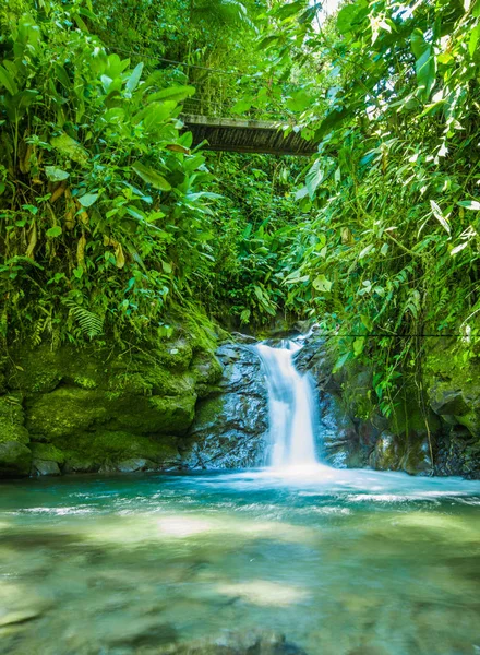 Beautiful small waterfall located inside of a green forest with stones in river at Mindo — Stock Photo, Image