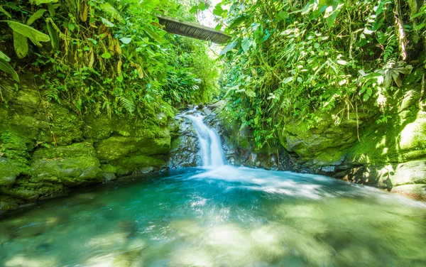 Cachoeira pequena bonita localizada dentro de uma floresta verde com pedras no rio em Mindo — Fotografia de Stock