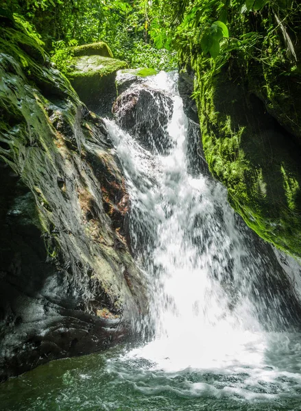Красивый водопад в зеленом лесу с камнями в реке Миндо — стоковое фото