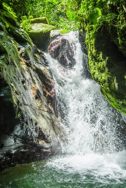 Beautiful waterfall in green forest with stones in river at Mindo — Stock Photo, Image