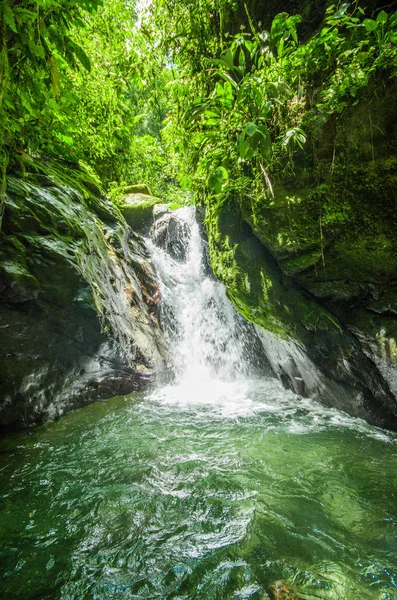 Cachoeira bonita na floresta verde com pedras no rio em Mindo — Fotografia de Stock