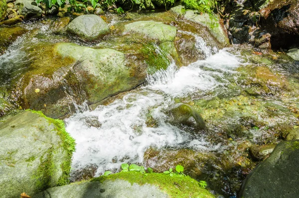 Mindo で川の石と緑の森の中を流れる美しい川 — ストック写真