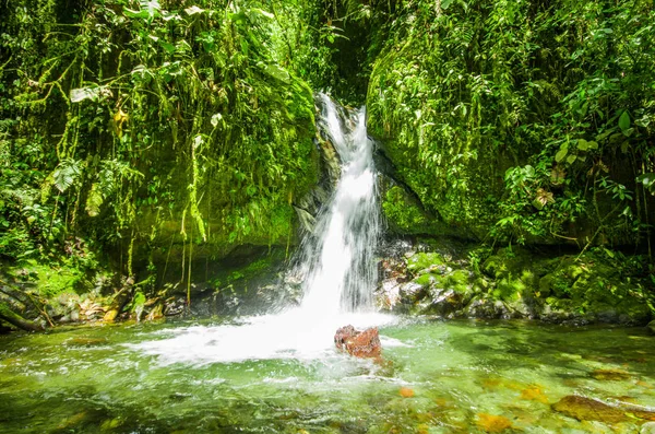 Cachoeira pequena bonita na floresta verde com pedras no rio em Mindo — Fotografia de Stock