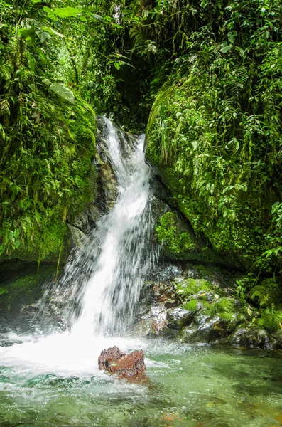 Schöner kleiner Wasserfall im grünen Wald mit Steinen im Fluss bei mindo — Stockfoto