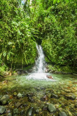 Min'in nehirde içinde taş olan yeşil ormandaki güzel küçük şelale