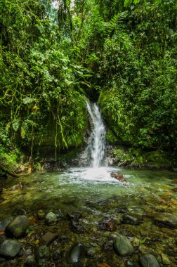 Min'in nehirde içinde taş olan yeşil ormandaki güzel küçük şelale