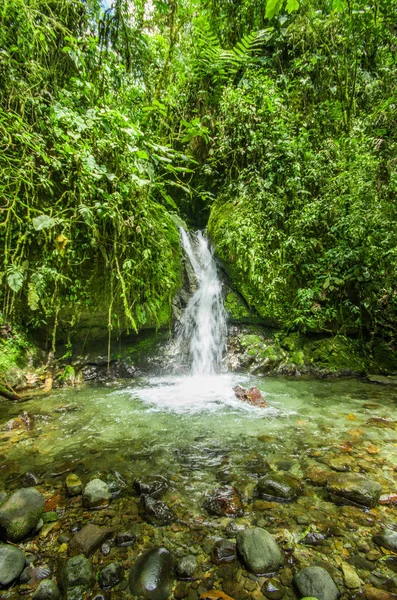 Schöner kleiner Wasserfall im grünen Wald mit Steinen im Fluss bei mindo — Stockfoto